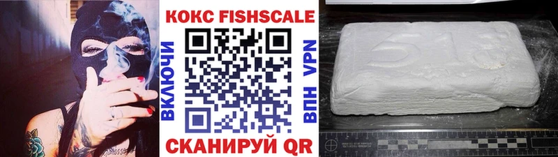 darknet формула сколько стоит Кунгур COCAIN Эквадор кракен вход