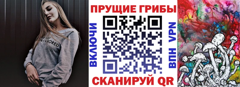 Псилоцибиновые грибы Cubensis  наркошоп  Кунгур 